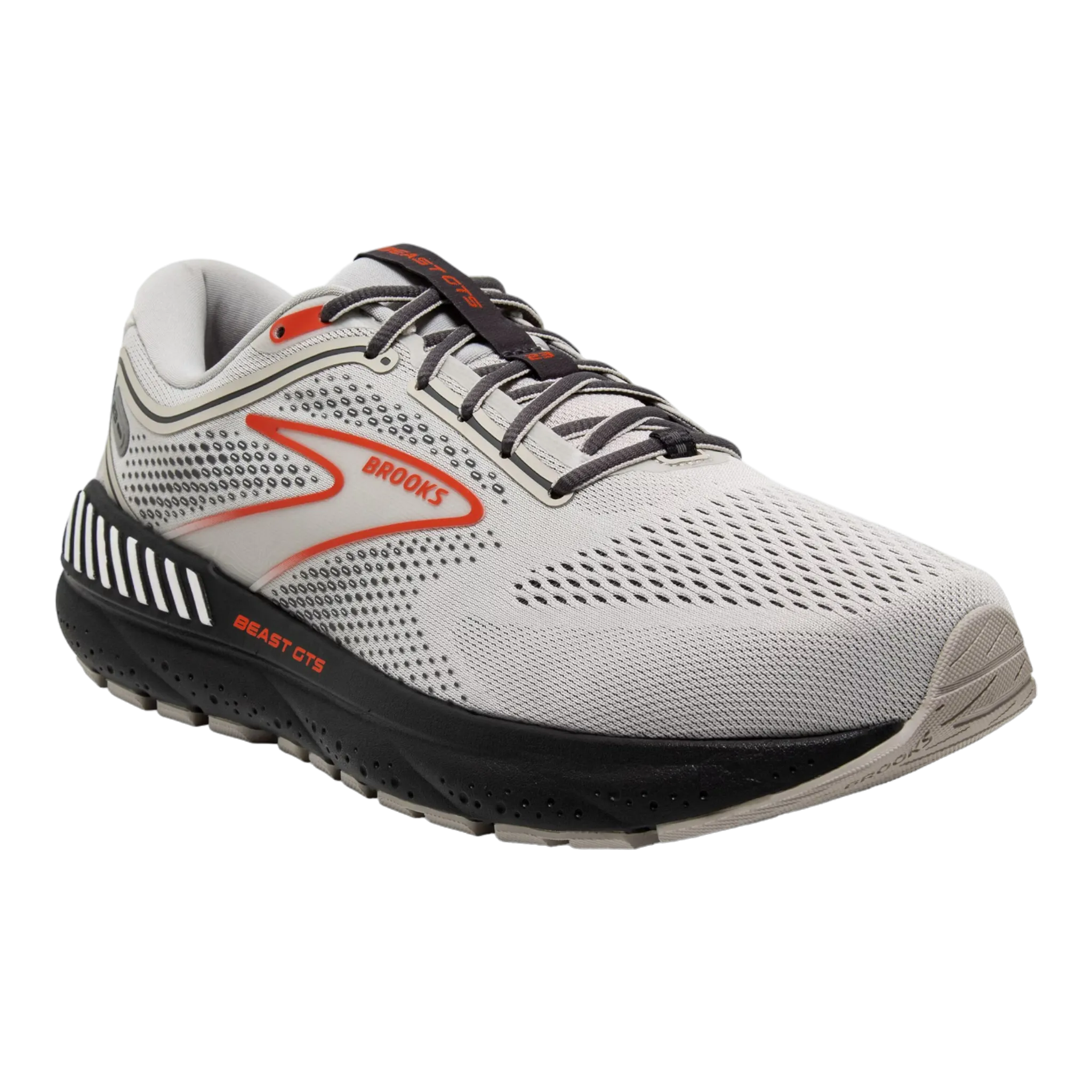Men's Beast GTS 23