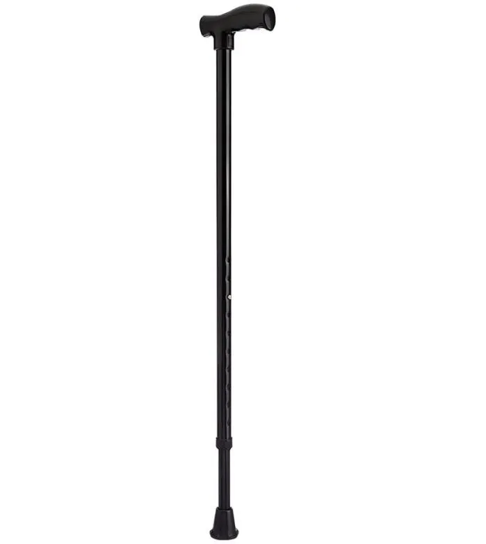 Walking Stick (Black)